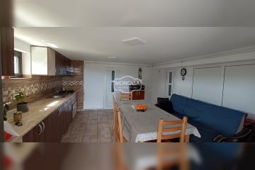 IMG_20240415_141744.jpg