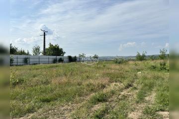 IMG_4823.jpeg